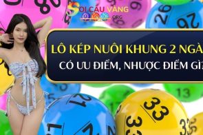 Soi cầu bạch thủ lô kép khung 2 ngày XSMB chuẩn nhất 2025
