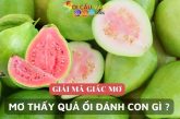 Giải mã giấc mơ: Mơ thấy quả ổi đánh con gì ăn to