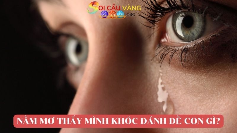 Nằm mơ thấy mình khóc đánh đề con gì?
